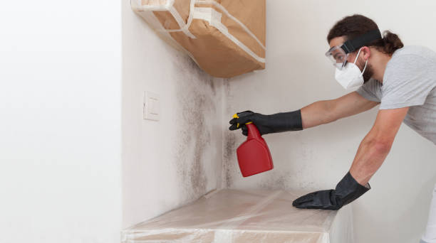 Professional Crawl Space Mold Removal technician working in Toms River, NJ